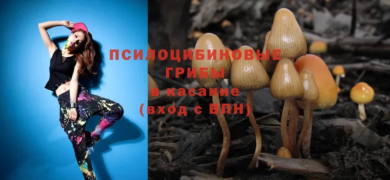 даркнет сайт  Вилюйск  Псилоцибиновые грибы Cubensis 